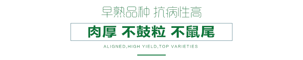 1557906230817325.jpg 詳情頁23.jpg