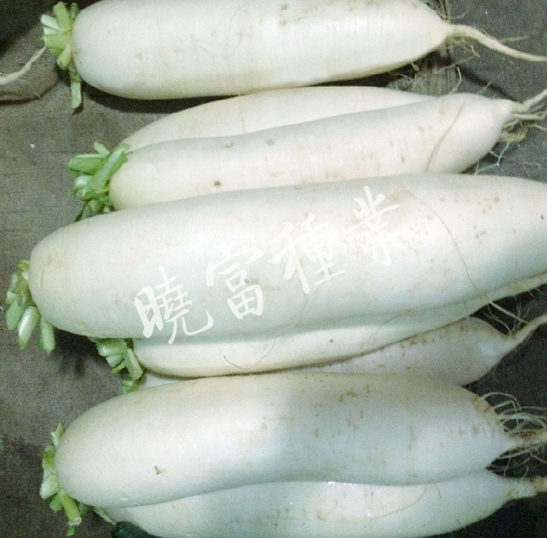 1585789360726819.jpg 02.jpg