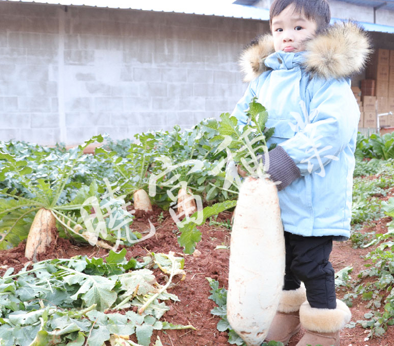 1585790176761847.jpg 04.jpg